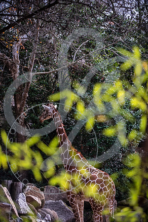 Zoo Trip 2023_122823_2045