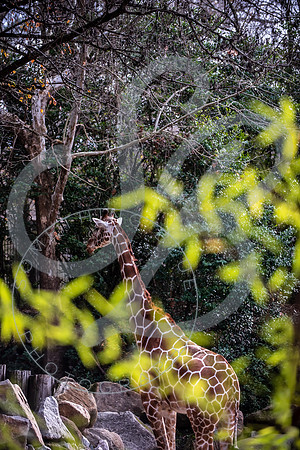 Zoo Trip 2023_122823_2046