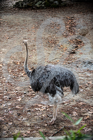 Zoo Trip 2023_122823_2080