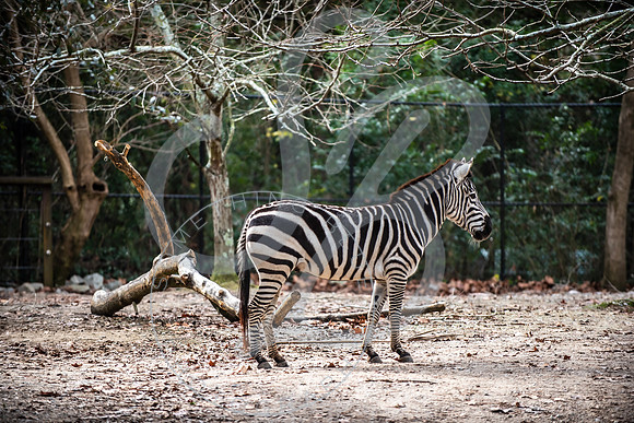 Zoo Trip 2023_122823_2091