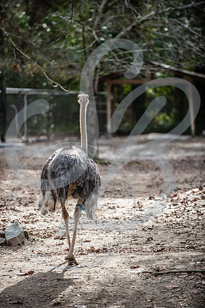 Zoo Trip 2023_122823_2109