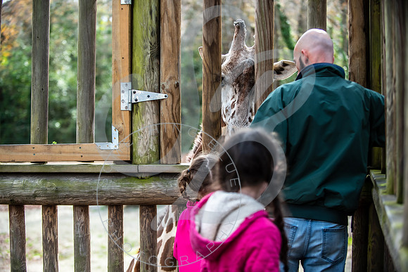 Zoo Trip 2023_122823_2127