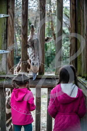 Zoo Trip 2023_122823_2132