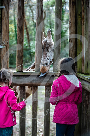 Zoo Trip 2023_122823_2141