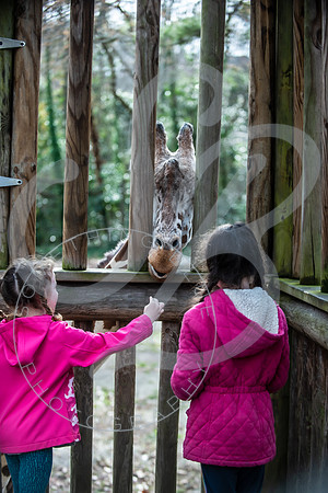 Zoo Trip 2023_122823_2146