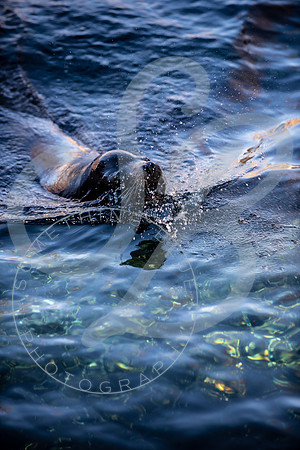 Zoo Trip 2023_122823_2182