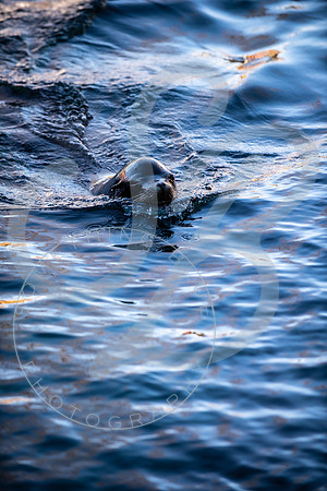 Zoo Trip 2023_122823_2181