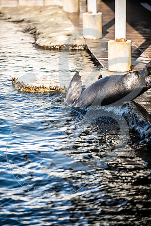 Zoo Trip 2023_122823_2184