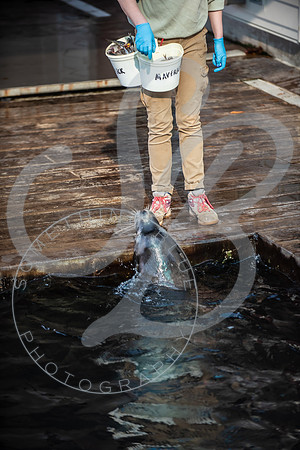 Zoo Trip 2023_122823_2212