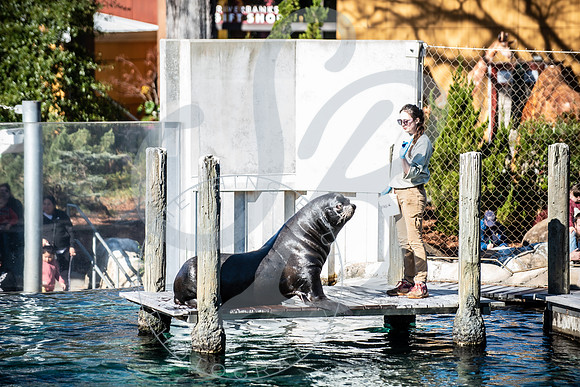 Zoo Trip 2023_122823_2254