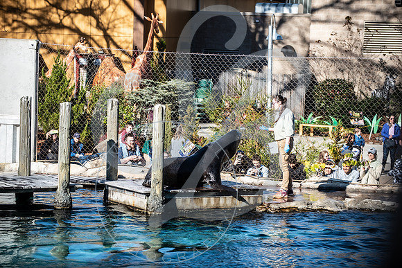 Zoo Trip 2023_122823_2275