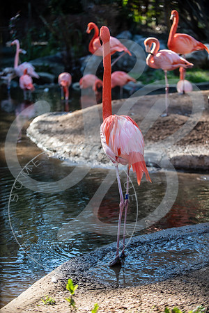 Zoo Trip 2023_122823_2311
