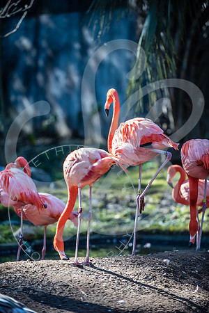 Zoo Trip 2023_122823_2315