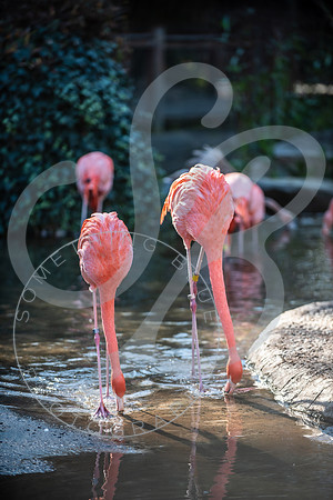 Zoo Trip 2023_122823_2322