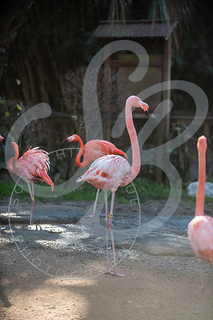 Zoo Trip 2023_122823_2331