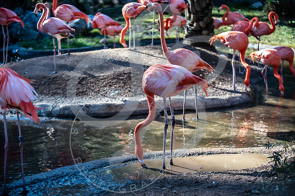 Zoo Trip 2023_122823_2337