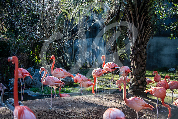 Zoo Trip 2023_122823_2333