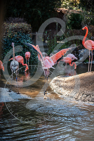 Zoo Trip 2023_122823_2350