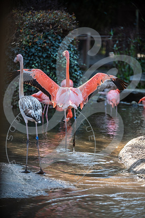 Zoo Trip 2023_122823_2353