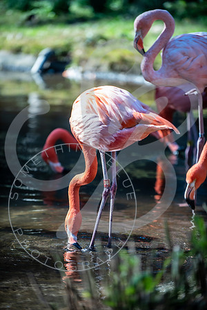 Zoo Trip 2023_122823_2355