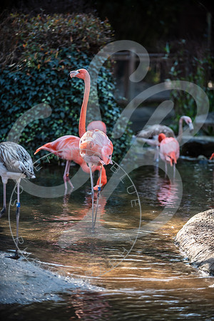 Zoo Trip 2023_122823_2354