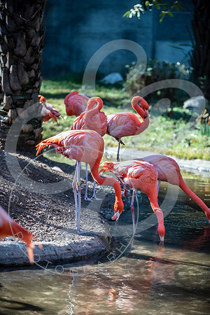 Zoo Trip 2023_122823_2370
