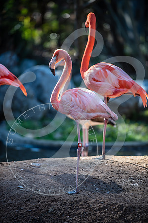 Zoo Trip 2023_122823_2379