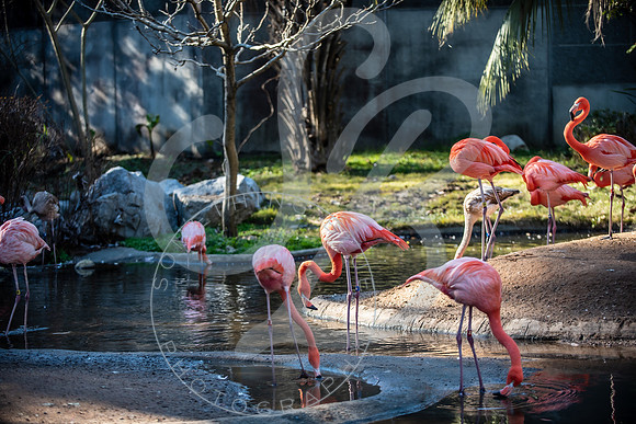 Zoo Trip 2023_122823_2384