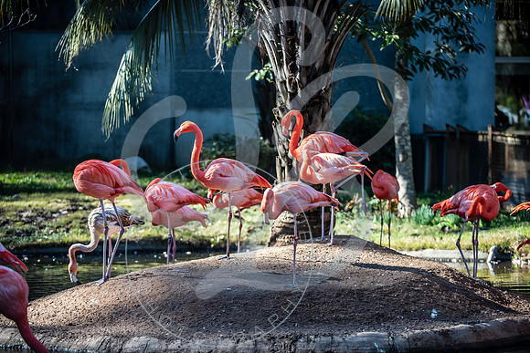 Zoo Trip 2023_122823_2382
