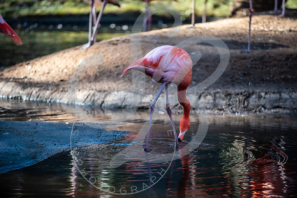 Zoo Trip 2023_122823_2388