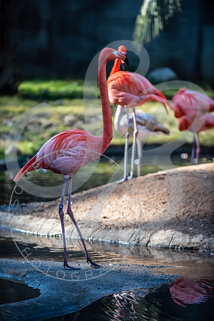 Zoo Trip 2023_122823_2391