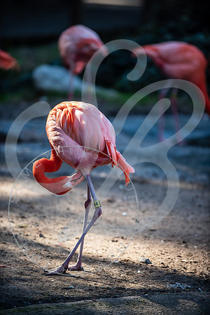 Zoo Trip 2023_122823_2395