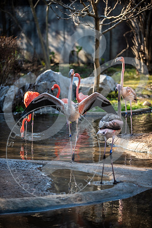 Zoo Trip 2023_122823_2406