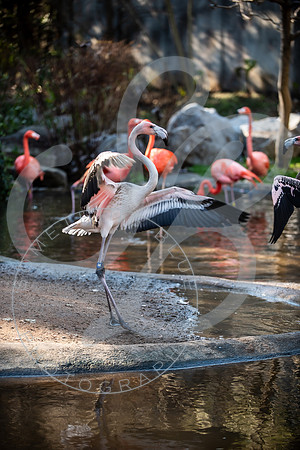 Zoo Trip 2023_122823_2411