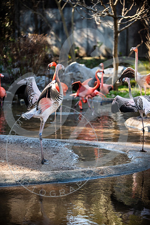 Zoo Trip 2023_122823_2414