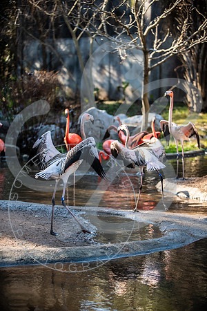Zoo Trip 2023_122823_2415