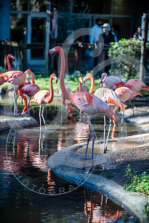 Zoo Trip 2023_122823_2418