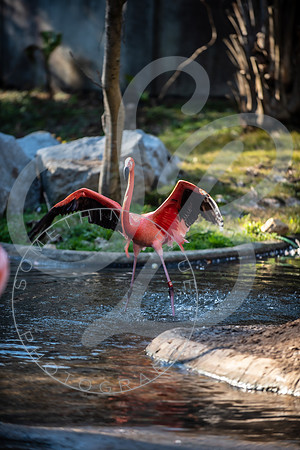 Zoo Trip 2023_122823_2426