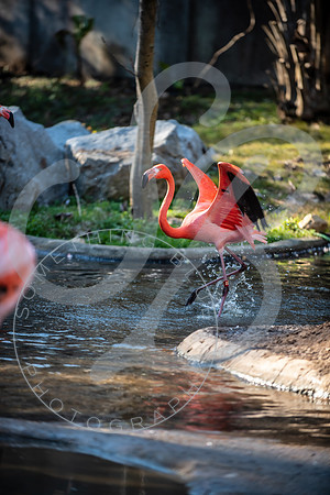 Zoo Trip 2023_122823_2427