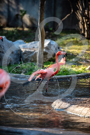 Zoo Trip 2023_122823_2429