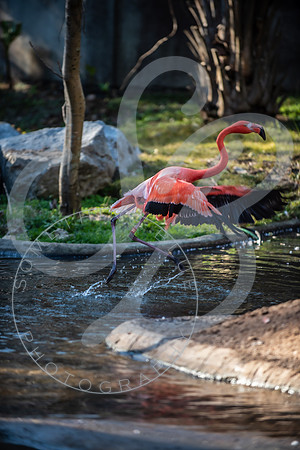 Zoo Trip 2023_122823_2430