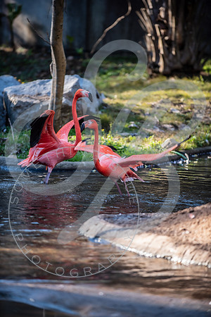 Zoo Trip 2023_122823_2437