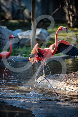 Zoo Trip 2023_122823_2441