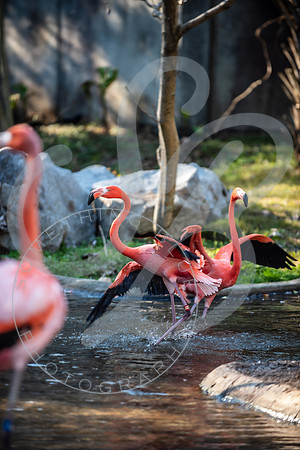 Zoo Trip 2023_122823_2440