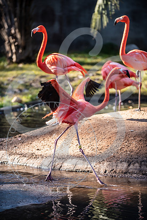 Zoo Trip 2023_122823_2442