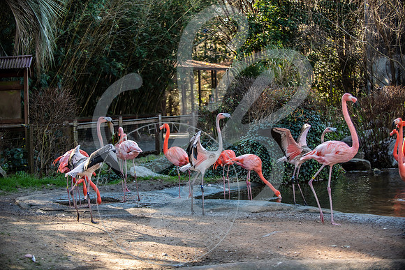 Zoo Trip 2023_122823_2444