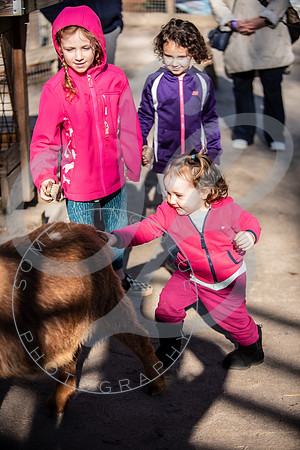 Zoo Trip 2023_122823_2477