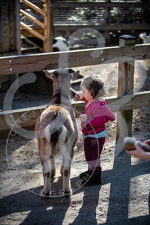 Zoo Trip 2023_122823_2482