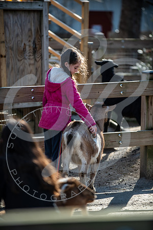 Zoo Trip 2023_122823_2514