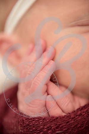 Sadie - Newborn_101321_0220